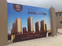 凤凰·观澜尊府广告欣赏