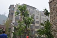 3月柳工·颐华城工程进度