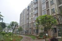 3月柳工·颐华城工程进度