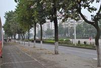 3月柳工·颐华城工程进度