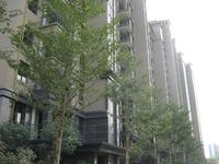 凤岭名筑实景图(10.12)