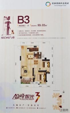 【B3两房两厅】