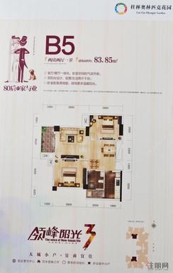 【B5两房两厅】