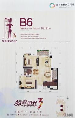 【B6两房两厅】