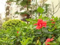 2013.03.28桃花源香域中央实景图