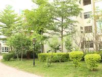 2013.03.28桃花源香域中央实景图