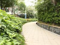 2013.03.28桃花源香域中央实景图