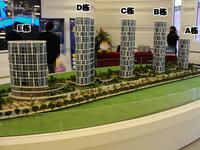 2013.11.20骋望麓涛townhouse实景图