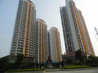 海湾茗园 实景图