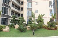 富丽华海御 园林实景图