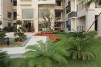 富丽华海御 园林实景图