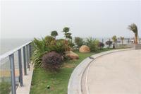 富丽华海御 园林实景图