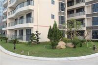 富丽华海御 园林实景图