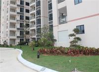 富丽华海御 园林实景图