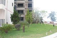 富丽华海御 园林实景图