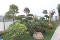 富丽华海御 园林实景图