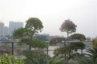 富丽华海御 园林实景图