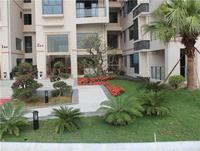 富丽华海御 园林实景图