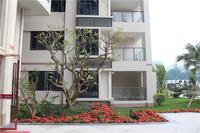 富丽华海御 园林实景图