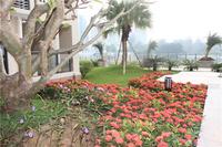 富丽华海御 园林实景图