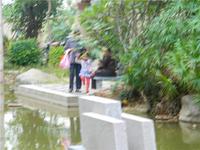 碧园海语城 实景图