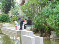 碧园海语城 实景图