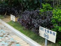 碧园海语城 实景图