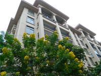 碧园海语城 实景图