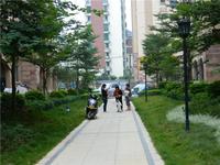 碧园海语城 实景图