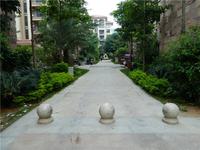 碧园海语城 实景图