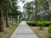 2013.12.13同人学府大道实景图