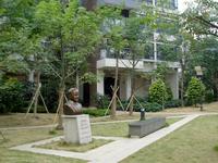 2013.12.13同人学府大道实景图