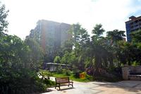 金源天鹅湖2013.6.7实景图
