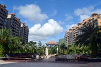 金源天鹅湖2013.6.7实景图
