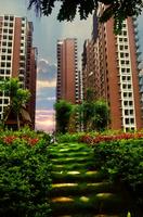 融晟公园大地实景图(8.1)
