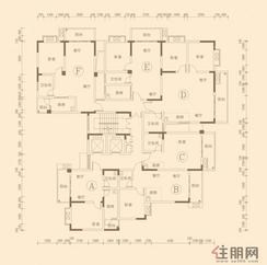 【8号楼平面层】