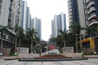 民发·大观天下实景图（3.21）