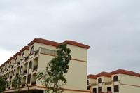 红林墅2013.4.23实景图