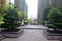 安得国际华城2013.6.7实景图