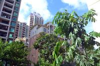 安得国际华城2013.6.7实景图
