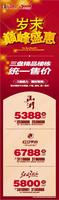 2012.12.31红日集团广告欣赏