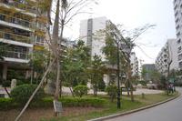 汇川·上东区2013年1月份实景图