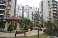 汇川·上东区2013年1月份实景图