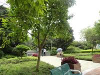 海茵巴塞罗那(海茵国际花城)实景图(6.2)