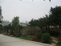 江山麓府实景图（1.14）