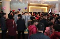 2013.1.26开盘图片