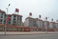 百业东兴·东盟红木文化街2013年1月份实景图