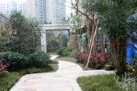 海华·东盟公馆实景图(1.22)