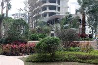 海华·东盟公馆实景图(1.22)