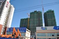 牛顿@苹果实景图